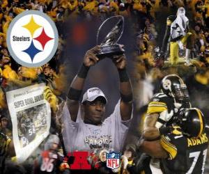 Puzzle Pittsburgh Steelers AFC πρωταθλητής 2010-11